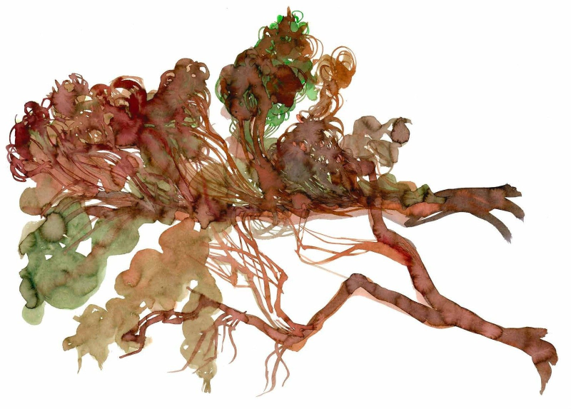 Flowing and Growing Branches